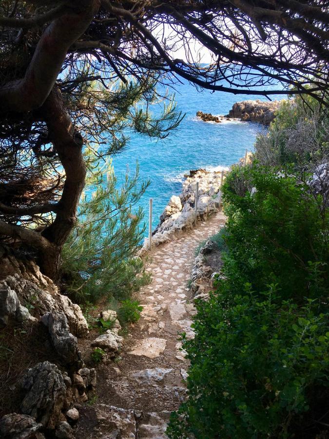 Artistic Antibes Apartment エクステリア 写真