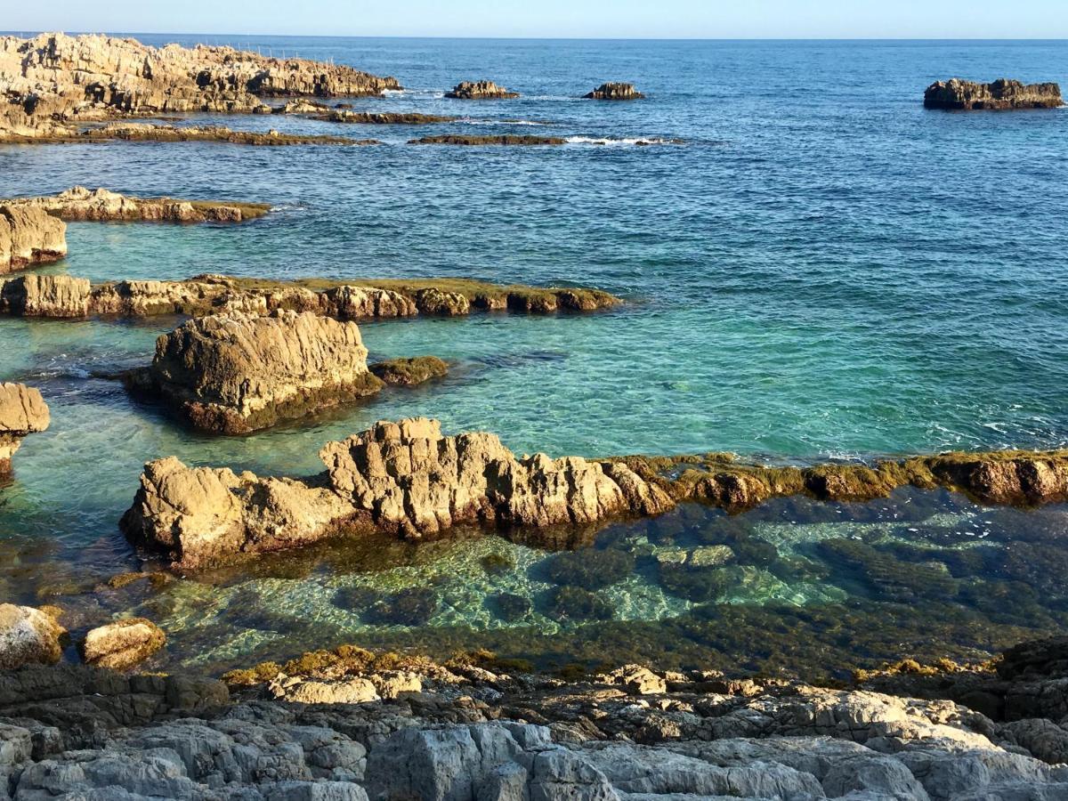 Artistic Antibes Apartment エクステリア 写真